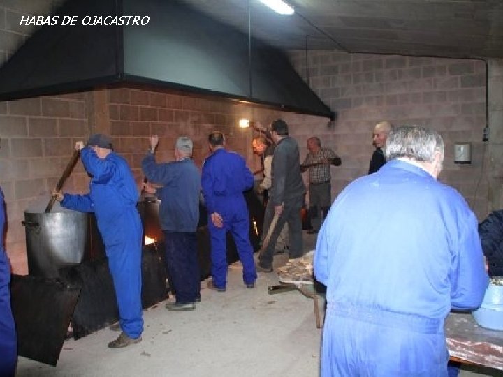 HABAS DE OJACASTRO HABAS DE OJACASTRO