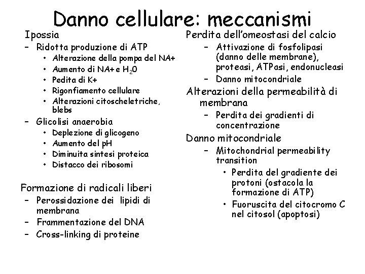 Danno cellulare: meccanismi Ipossia – Ridotta produzione di ATP • • • Alterazione della