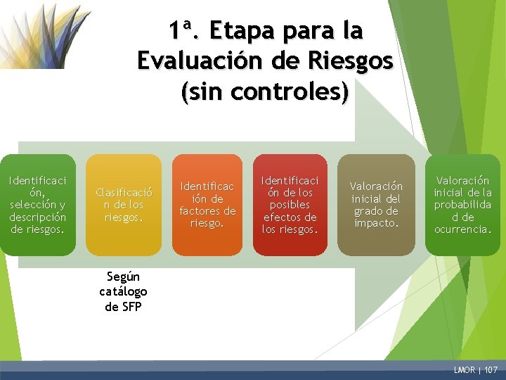 1ª. Etapa para la Evaluación de Riesgos (sin controles) Identificaci ón, selección y descripción