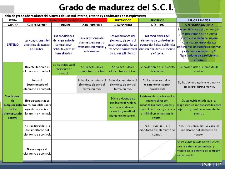 Grado de madurez del S. C. I. LMOR | 114 