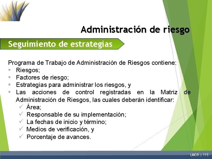 Administración de riesgo Seguimiento de estrategias Programa de Trabajo de Administración de Riesgos contiene: