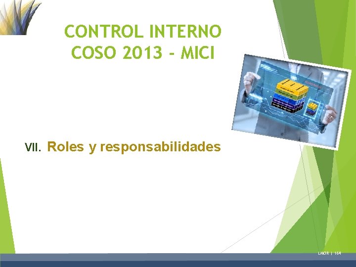 CONTROL INTERNO COSO 2013 - MICI VII. Roles y responsabilidades LMOR | 164 