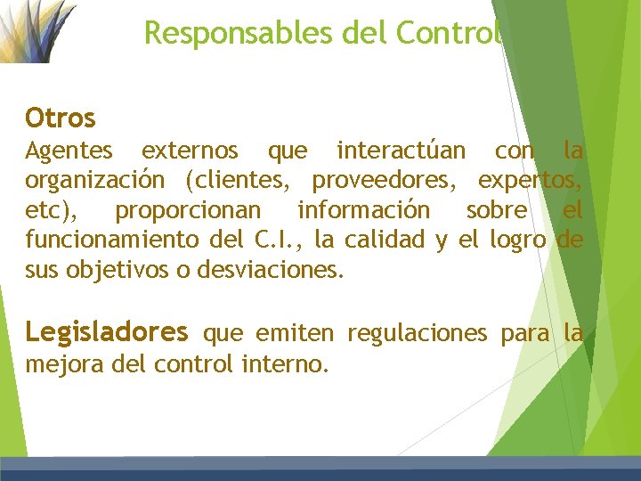 Responsables del Control Otros Agentes externos que interactúan con la organización (clientes, proveedores, expertos,