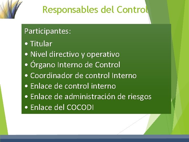 Responsables del Control Participantes: • Titular • Nivel directivo y operativo • Órgano Interno