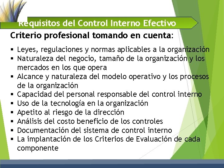Requisitos del Control Interno Efectivo Criterio profesional tomando en cuenta: § Leyes, regulaciones y