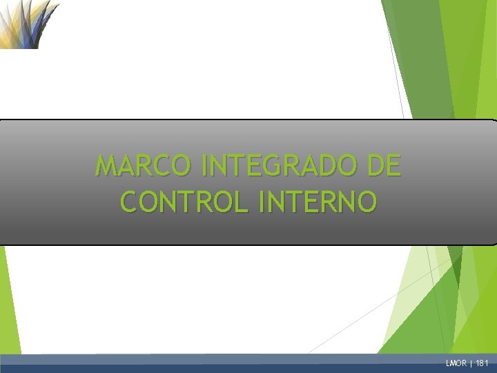 MARCO INTEGRADO DE CONTROL INTERNO LMOR | 181 