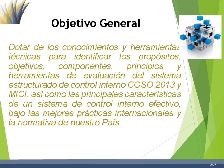 Objetivo General Dotar de los conocimientos y herramientas técnicas para identificar los propósitos, objetivos,