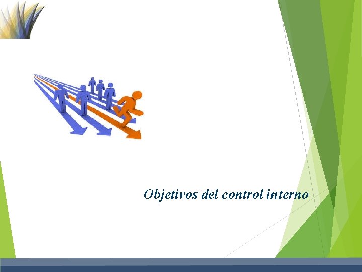 Objetivos del control interno 