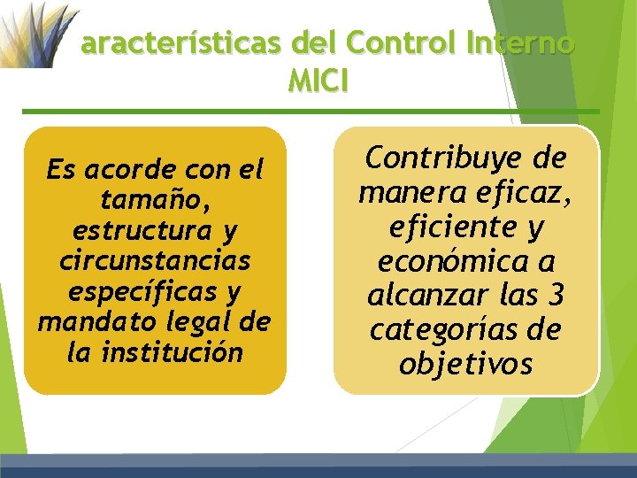 Características del Control Interno MICI Es acorde con el tamaño, estructura y circunstancias específicas