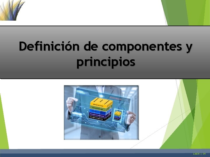 Definición de componentes y principios LMOR | 54 