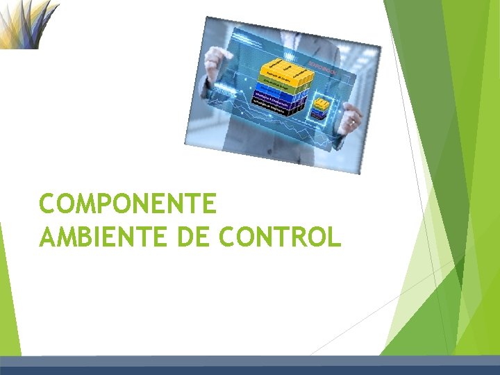 COMPONENTE AMBIENTE DE CONTROL 