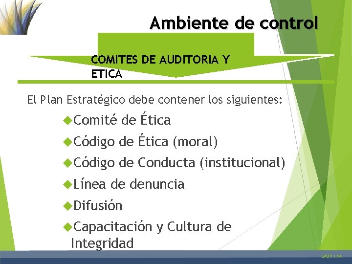 Ambiente de control COMITES DE AUDITORIA Y ETICA El Plan Estratégico debe contener los