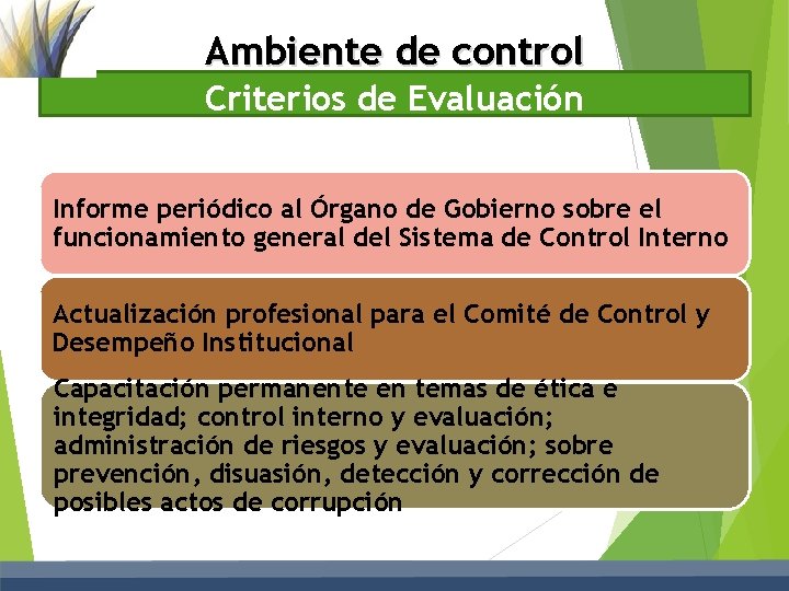 Ambiente de control Criterios de Evaluación Informe periódico al Órgano de Gobierno sobre el