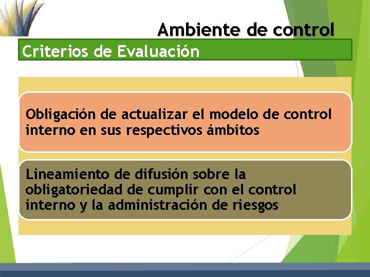 Ambiente de control Criterios de Evaluación Obligación de actualizar el modelo de control interno