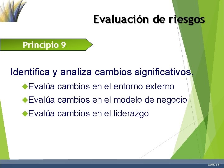 Evaluación de riesgos Principio 9 Identifica y analiza cambios significativos. Evalúa cambios en el