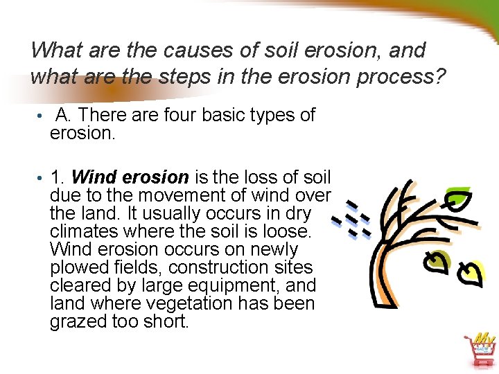 What are the causes of soil erosion, and what are the steps in the