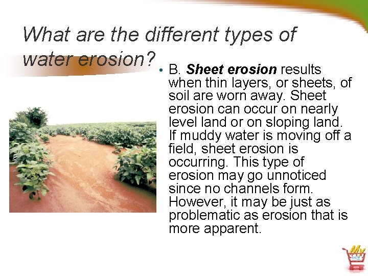 What are the different types of water erosion? • B. Sheet erosion results when