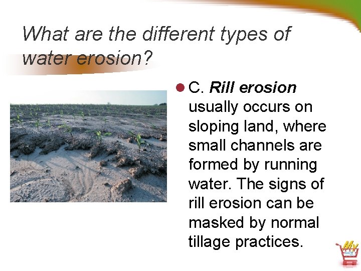 What are the different types of water erosion? l C. Rill erosion usually occurs