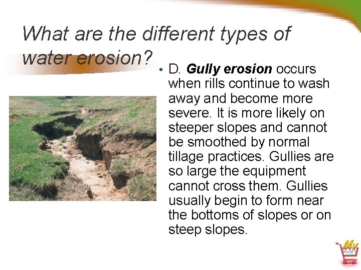 What are the different types of water erosion? • D. Gully erosion occurs when