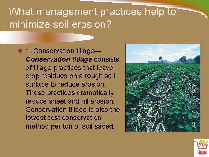 What management practices help to minimize soil erosion? l 1. Conservation tillage— Conservation tillage