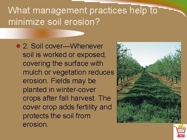 What management practices help to minimize soil erosion? l 2. Soil cover—Whenever soil is