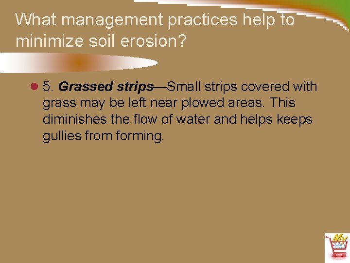 What management practices help to minimize soil erosion? l 5. Grassed strips—Small strips covered