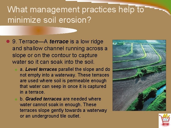 What management practices help to minimize soil erosion? l 9. Terrace—A terrace is a