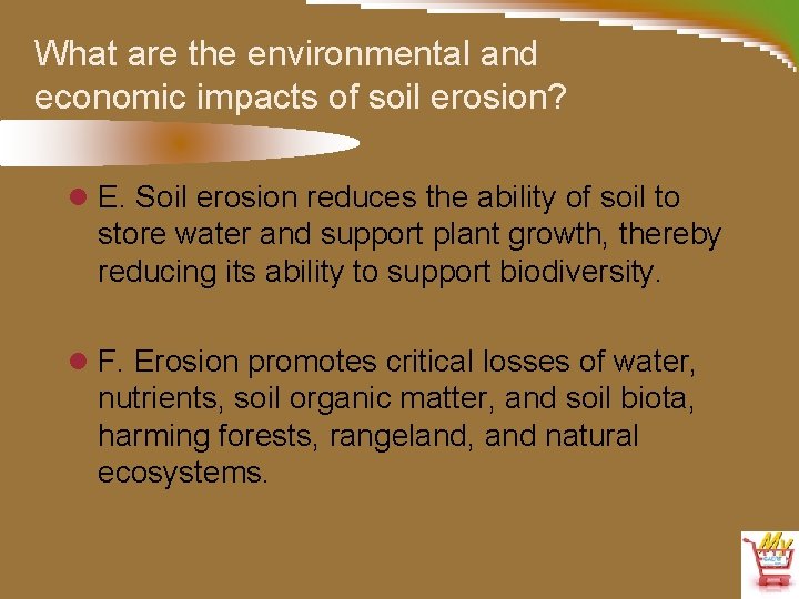 What are the environmental and economic impacts of soil erosion? l E. Soil erosion