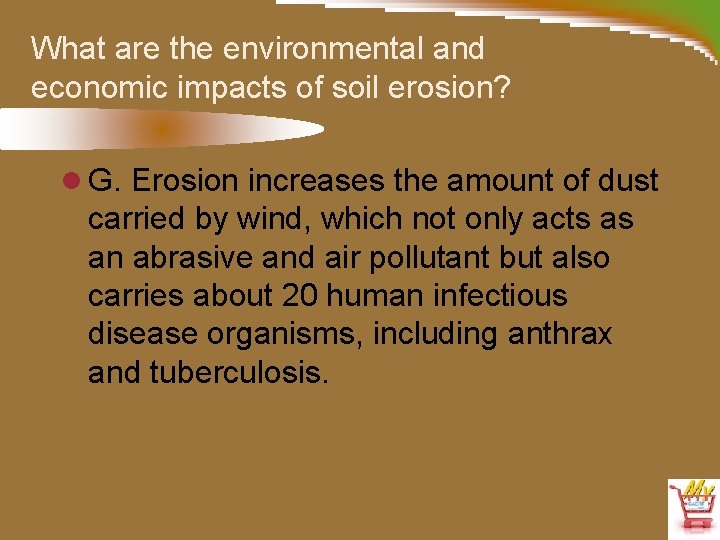 What are the environmental and economic impacts of soil erosion? l G. Erosion increases