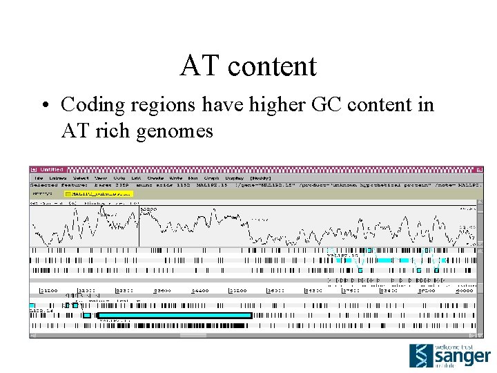 AT content • Coding regions have higher GC content in AT rich genomes 