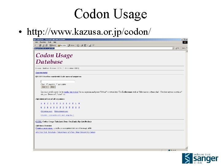 Codon Usage • http: //www. kazusa. or. jp/codon/ 