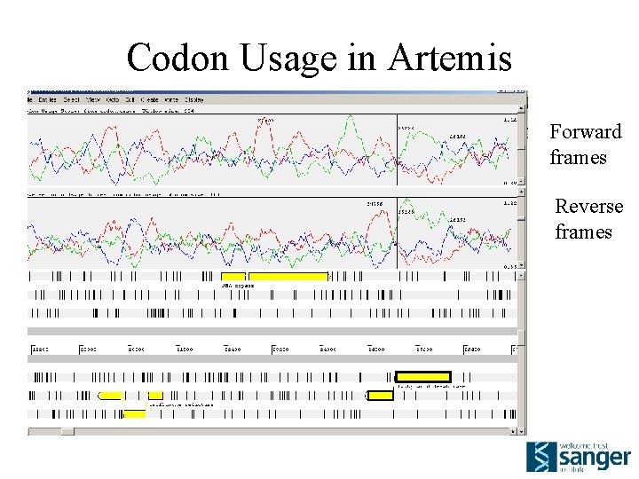 Codon Usage in Artemis Forward frames Reverse frames 