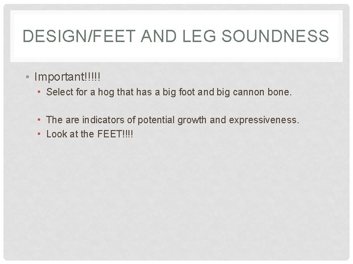 DESIGN/FEET AND LEG SOUNDNESS • Important!!!!! • Select for a hog that has a