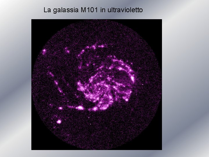 La galassia M 101 in ultravioletto 