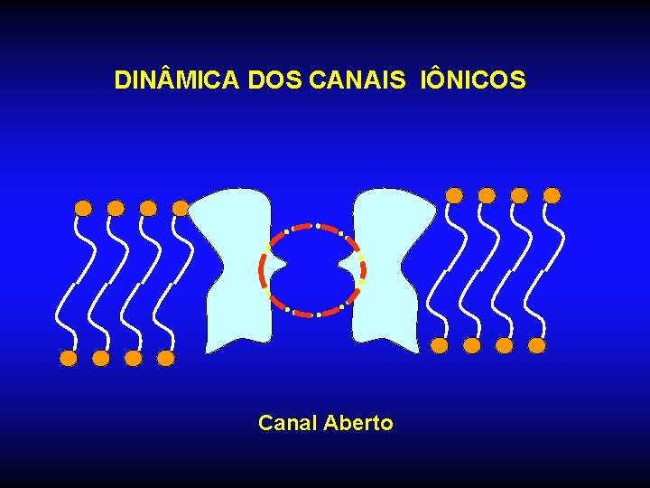 DIN MICA DOS CANAIS IÔNICOS Canal Aberto 