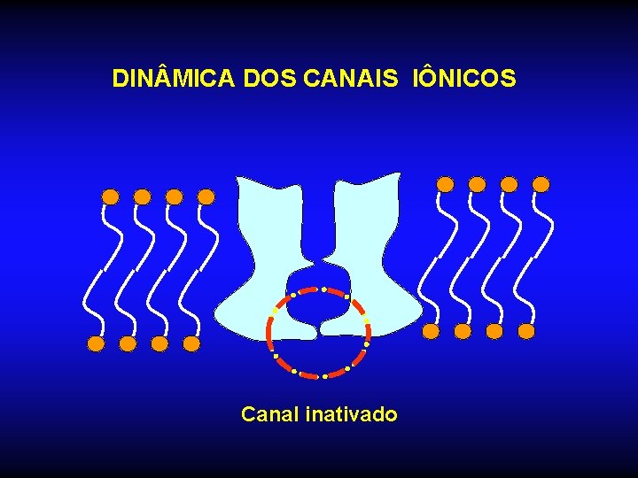 DIN MICA DOS CANAIS IÔNICOS Canal inativado 