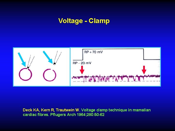 Voltage - Clamp Deck KA, Kern R, Trautwein W. Voltage clamp technique in mamalian