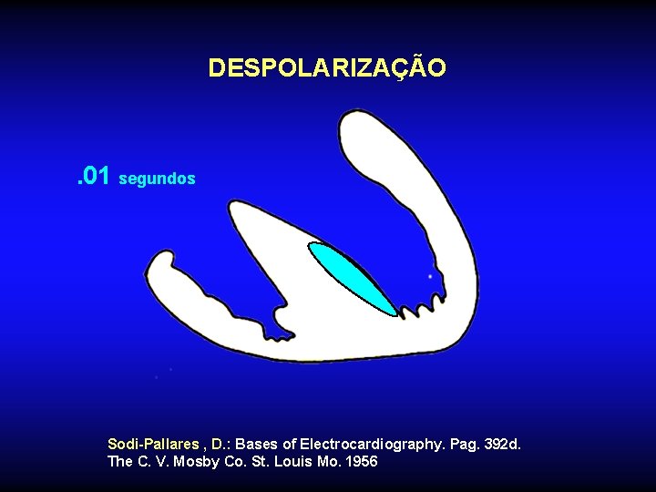 DESPOLARIZAÇÃO . 01 segundos Sodi-Pallares , D. : Bases of Electrocardiography. Pag. 392 d.