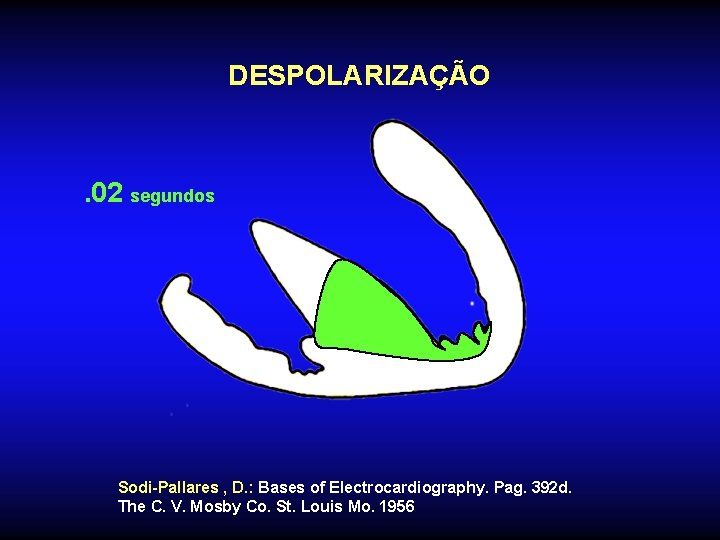 DESPOLARIZAÇÃO . 02 segundos Sodi-Pallares , D. : Bases of Electrocardiography. Pag. 392 d.