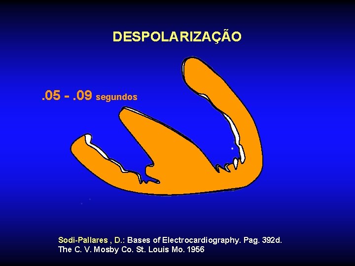 DESPOLARIZAÇÃO . 05 -. 09 segundos Sodi-Pallares , D. : Bases of Electrocardiography. Pag.