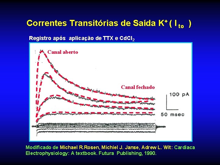 Correntes Transitórias de Saída K+ ( I to ) Registro após aplicação de TTX