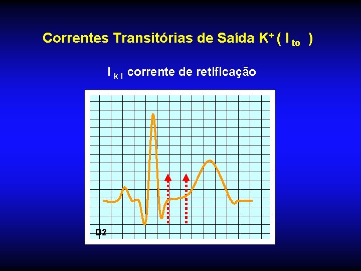 Correntes Transitórias de Saída K+ ( I to ) I k I corrente de