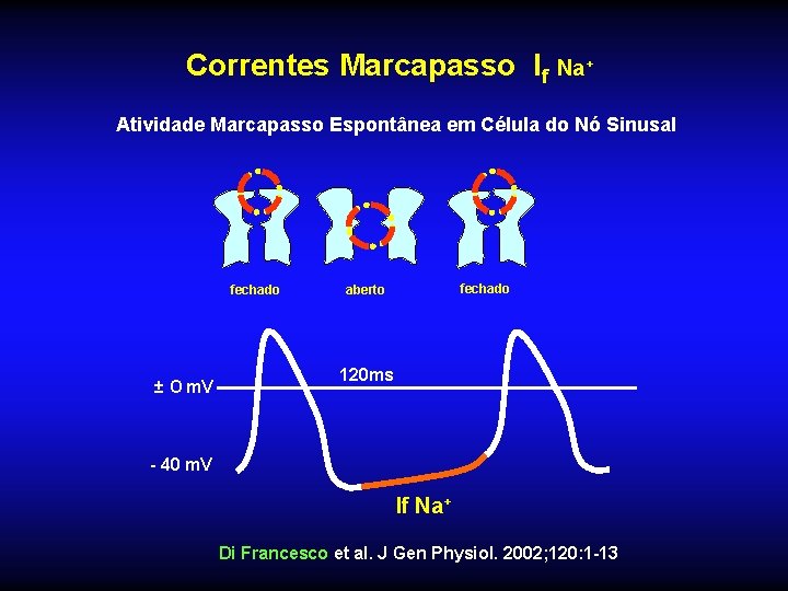 Correntes Marcapasso If Na+ Atividade Marcapasso Espontânea em Célula do Nó Sinusal fechado ±