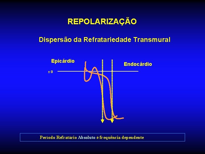 REPOLARIZAÇÃO Dispersão da Refratariedade Transmural Epicárdio Endocárdio ± 0 Período Refratário Absoluto é frequência