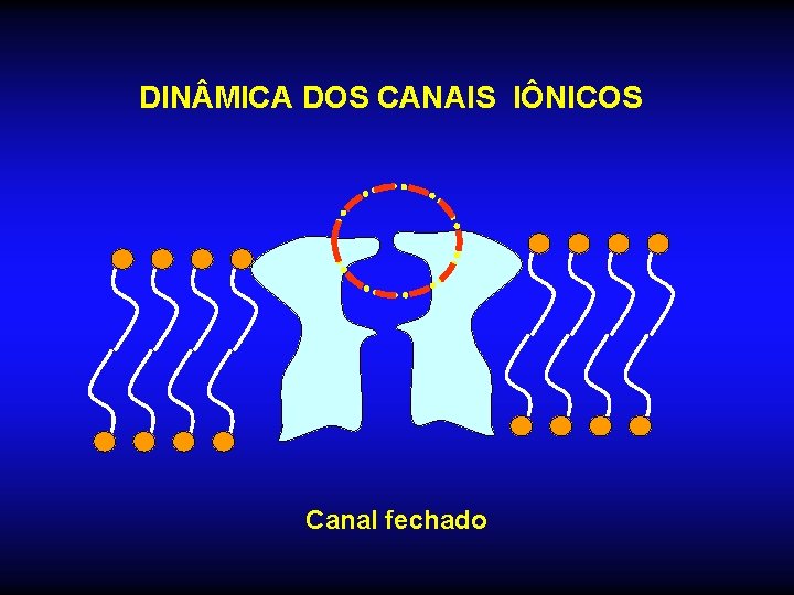 DIN MICA DOS CANAIS IÔNICOS Canal fechado 