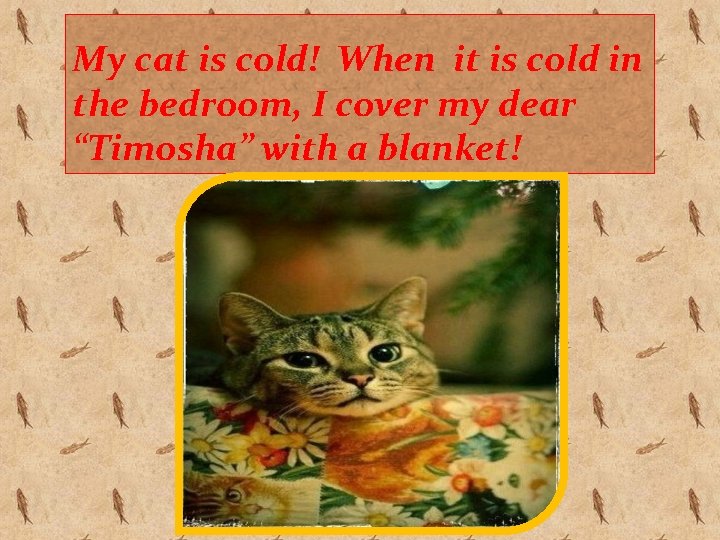 My cat is cold! When it is cold in the bedroom, I cover my