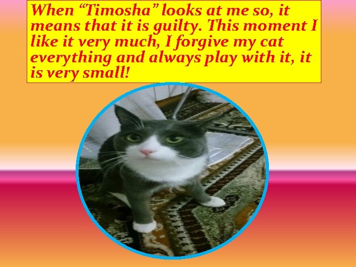 When “Timosha” looks at me so, it means that it is guilty. This moment