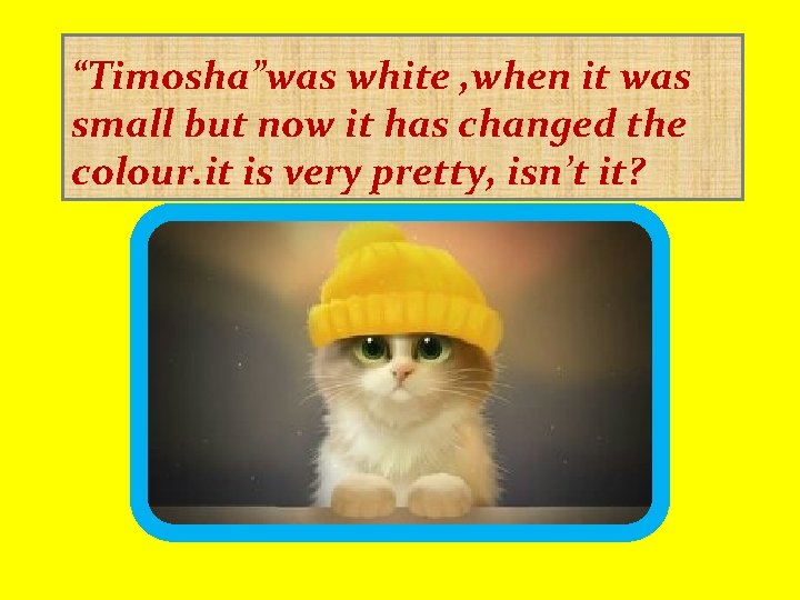 “Timosha”was white , when it was small but now it has changed the colour.