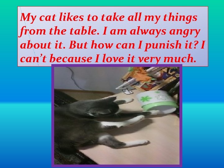 My cat likes to take all my things from the table. I am always