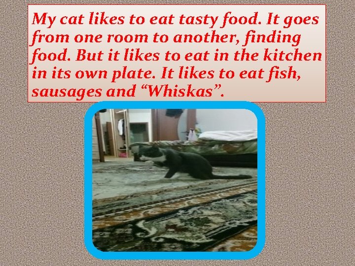 My cat likes to eat tasty food. It goes from one room to another,